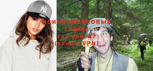 spice Балабаново
